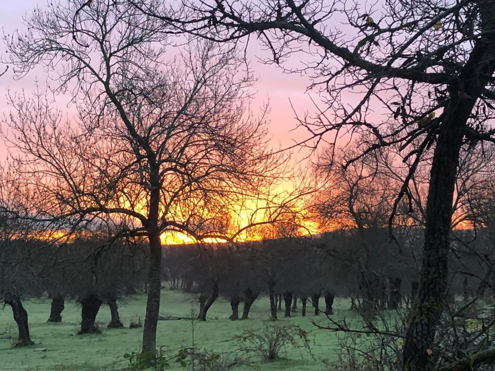 Alojamiento Rural El Petirrojo Cerceda  Buitenkant foto